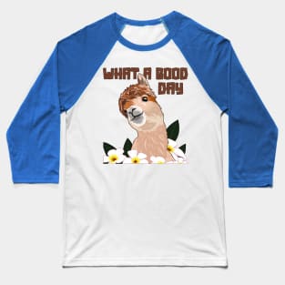 What A Good Day Llama Vicuna Guanaco Breeder Alpaca Baseball T-Shirt